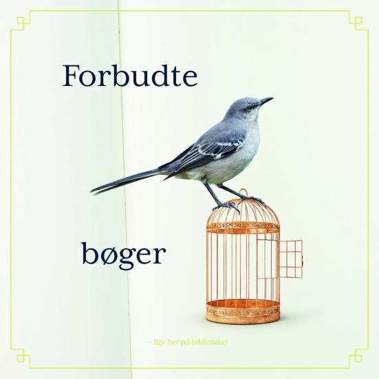 Forbudte bøger