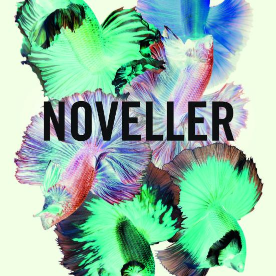 Noveller. Små historier og korte fortællinger