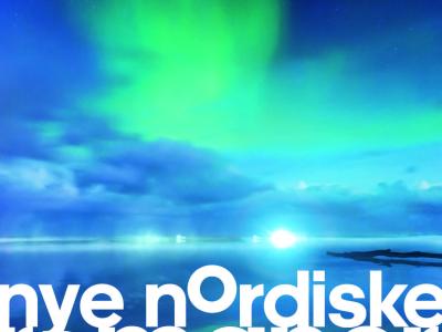 Nye nordiske romaner