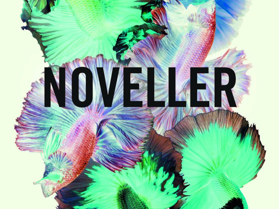 Noveller. Små historier og korte fortællinger