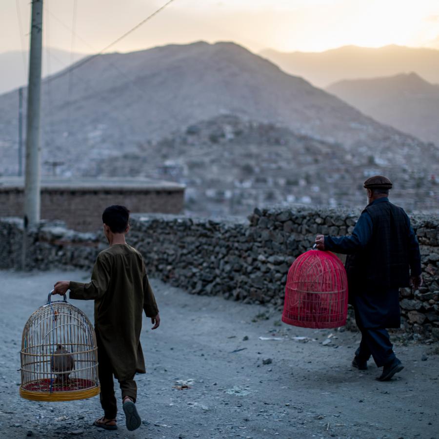 Foto fra Afghanistan af en dreng og en mand med hvert sit bur med en fugl 