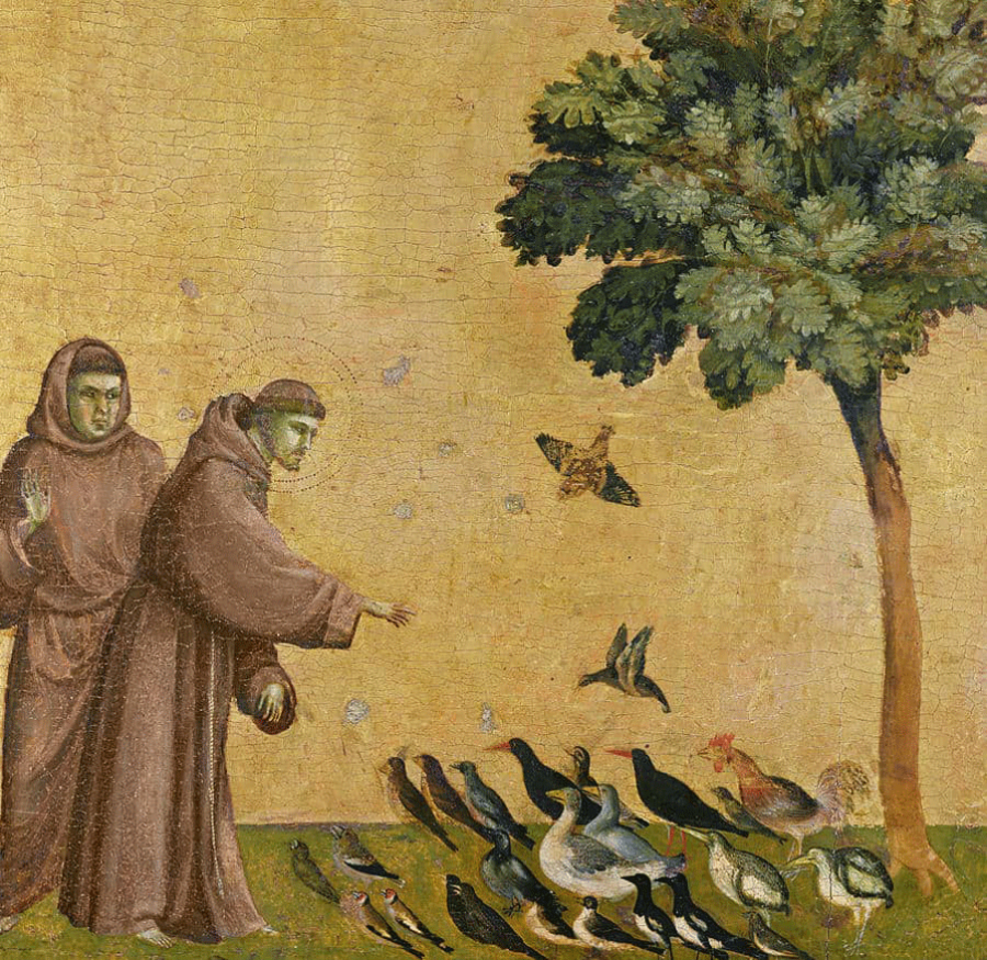 Grafisk fremstilling af 2 munke, der fodrer fugle